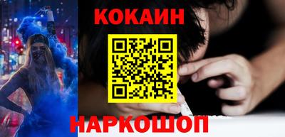 СК Кингисепп