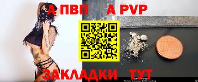 СК Кингисепп