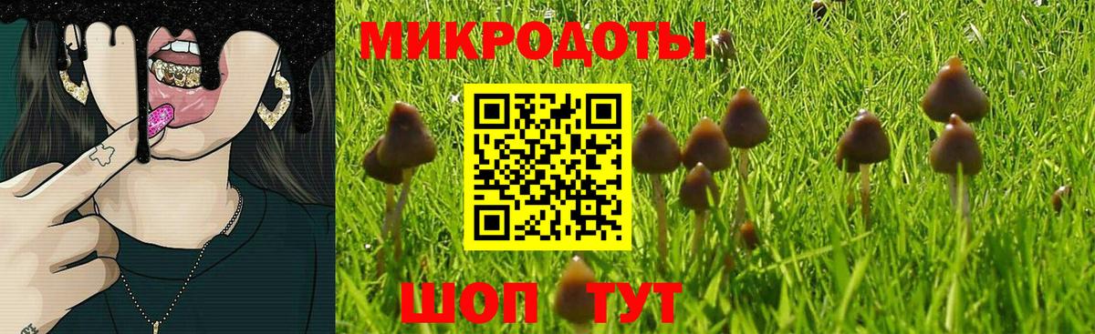 Галлюциногенные грибы прущие грибы  Галлюциногенные грибы MAGIC MUSHROOMS  Вход с VPN  Буйнакск 